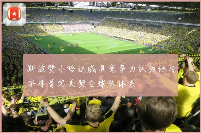斯波赞小哈达威具竞争力认为他与字母哥完美契合球队体系